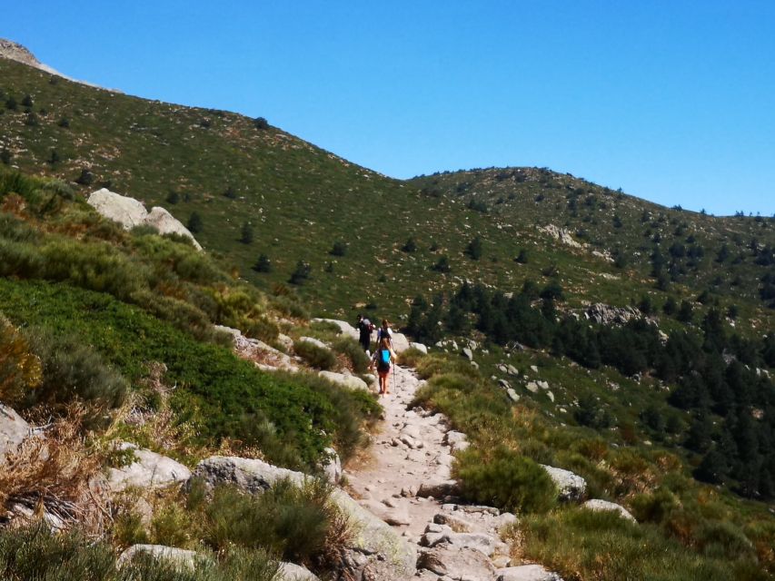 From Madrid: Day Trip to Guadarrama National Park - Visitor Reviews