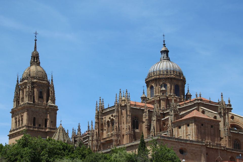 From Madrid: Day Trip to Salamanca With Private Tour - Customer Testimonials