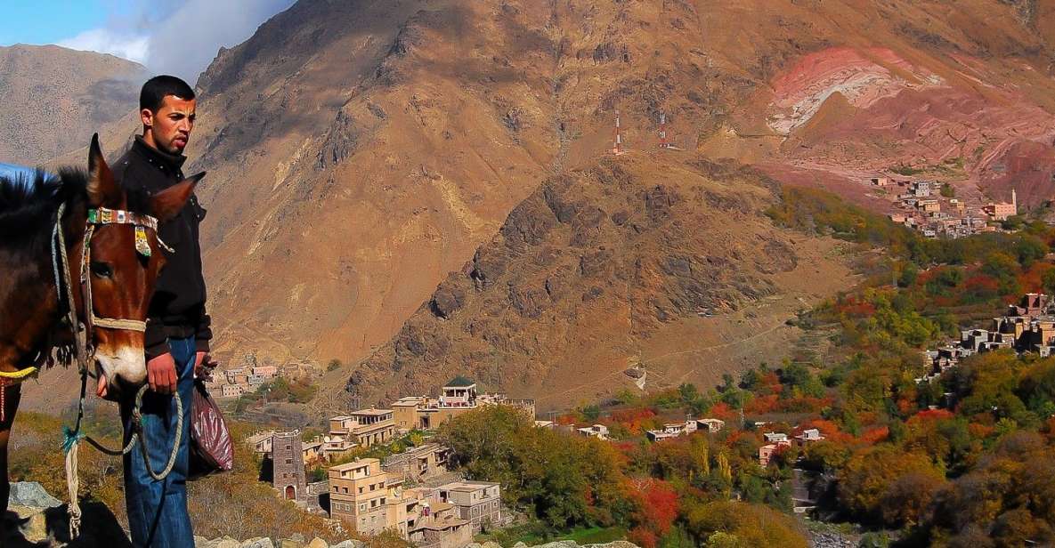 From Marrakech: Full-Day Atlas Mountain Berber Tour - Additional Information