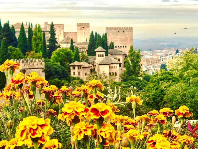 From Motril: Full-Day Private Tour of Alhambra - Insider Tips