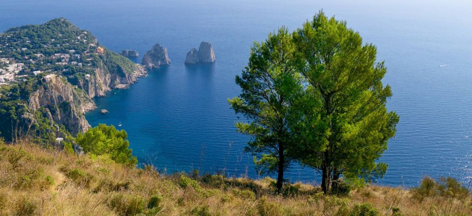 From Naples: Group Day Trip and Guided Tour of Capri - Meeting Point