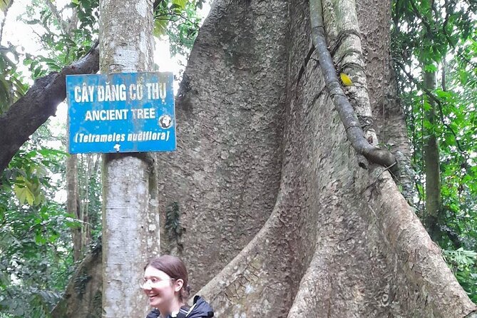 From Ninh Binh Cuc Phuong National Park One Day Trekking Tour - Safety Precautions