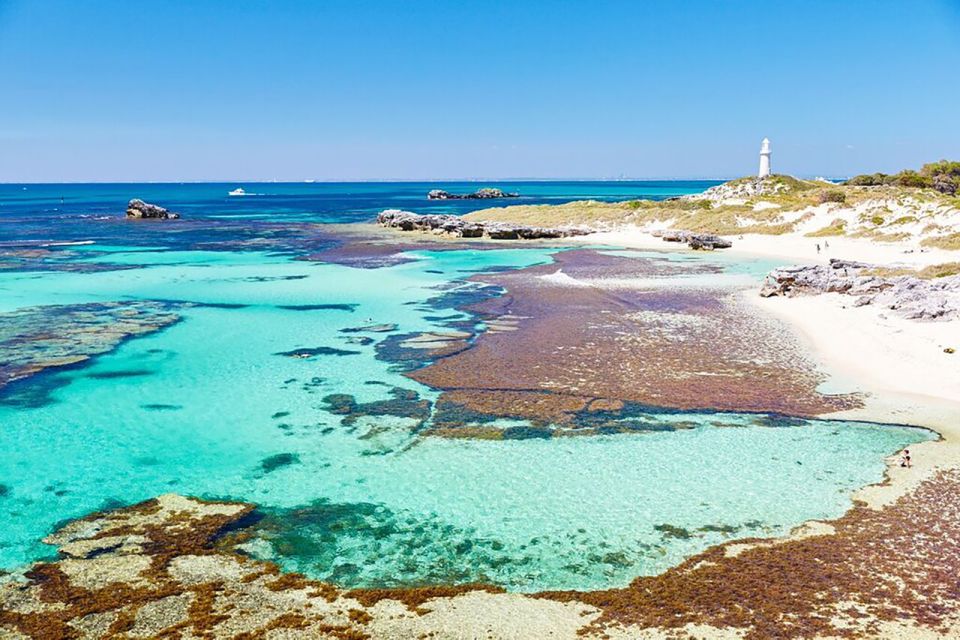 From Perth or Fremantle: Rottnest Island Ferry and Bus Tour - Customer Reviews
