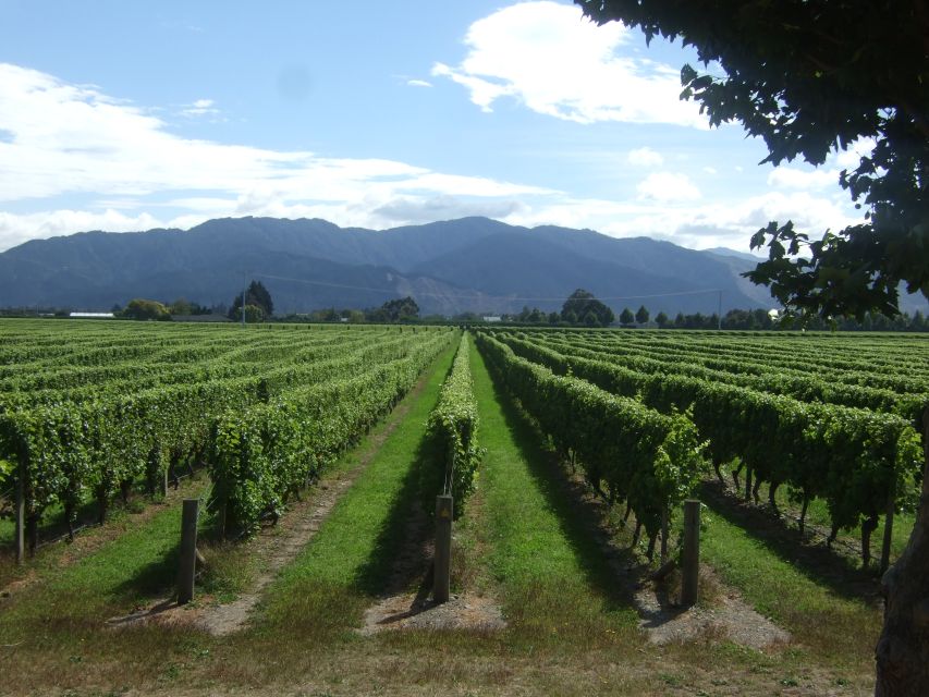 From Picton: Marlborough Wine Trip Shore Excursion - Booking Information