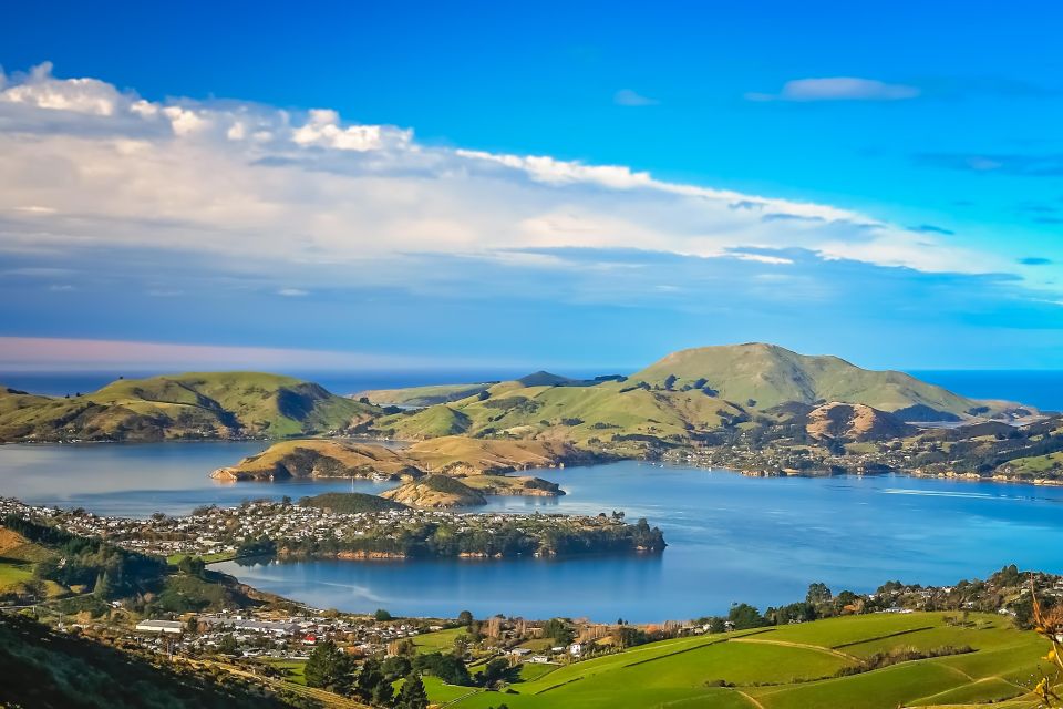 From Port Chalmers: City, Sights & Larnach Castle - Rating and Reviews