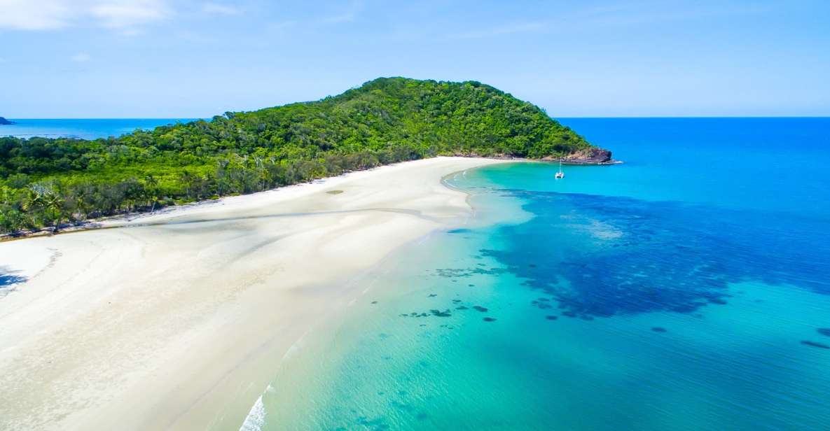 From Port Douglas: Daintree and Mossman Gorge Day Tour - Price and Duration