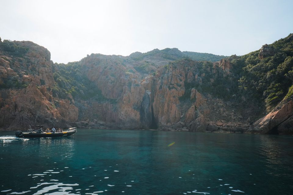 From Porto: Piana Creeks and Scandola Semi-Rigid Boat Tour - Traveler Experiences