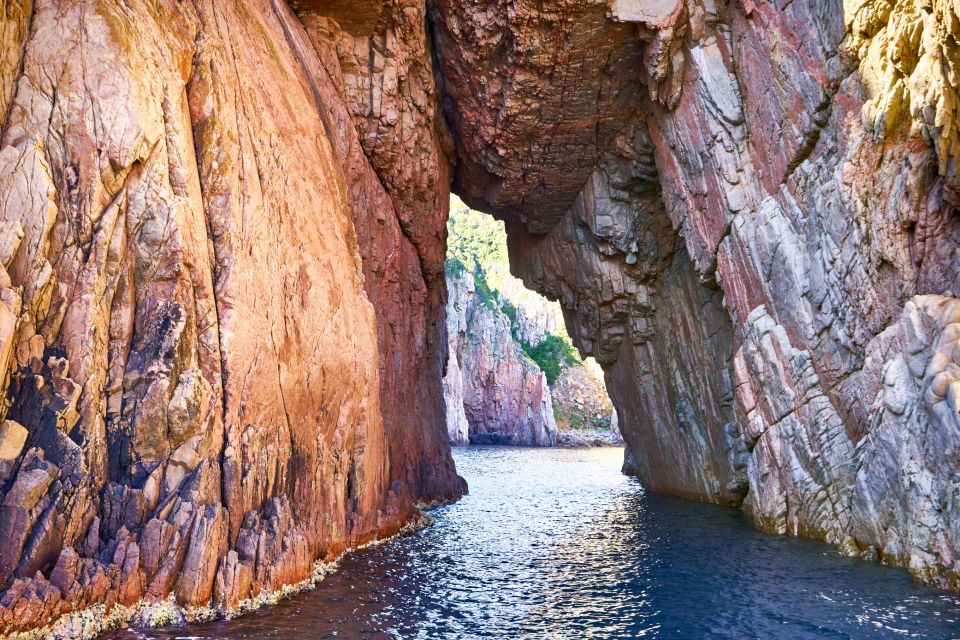 From Porto: Scandola & Girolata Tour by Boat - Traveler Types