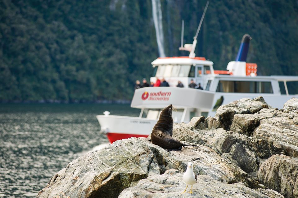 From Queenstown: Milford Sound, Observatory & Cruise W Lunch - Additional Details