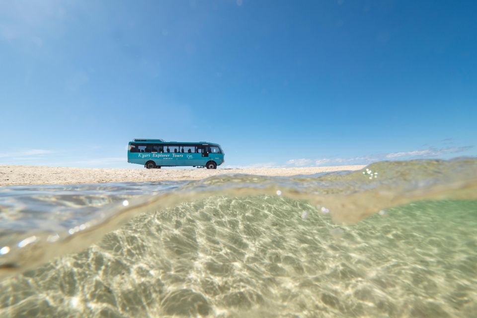 From Rainbow Beach: K'gari Fraser Island Full-Day Coach Tour - Customer Reviews