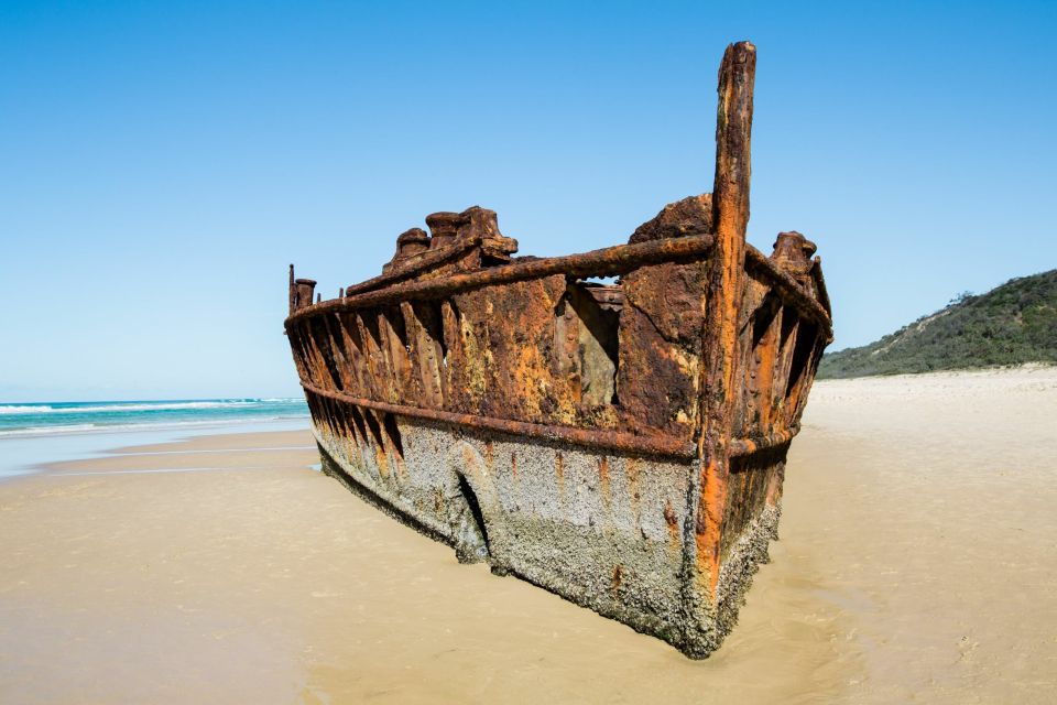 From Rainbow Beach: K'gari, Fraser Island Two-Day Coach Tour - Customer Reviews