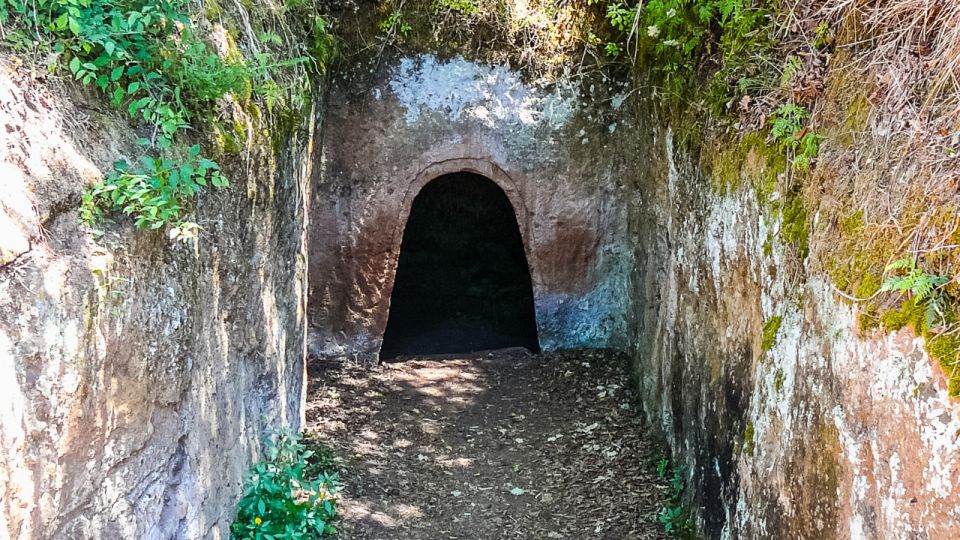 From Rome: Cerveteri&Ceri Private Etruscan Tour! - Price and Duration