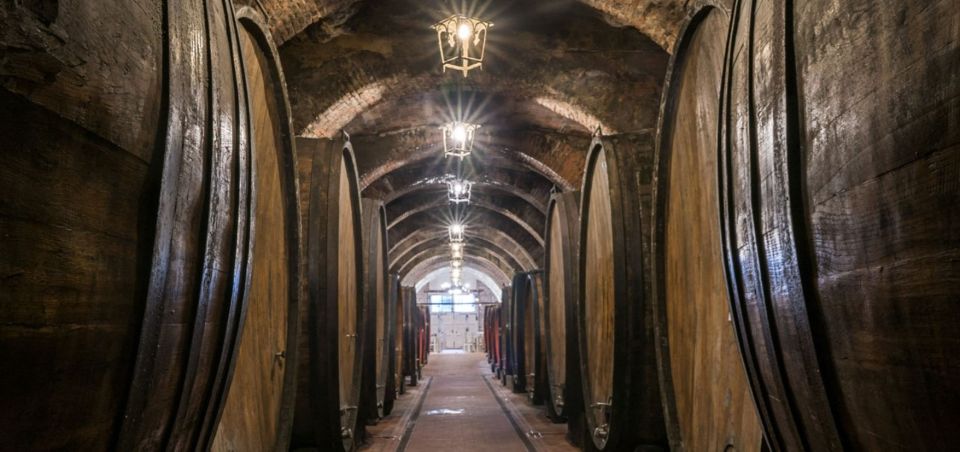 From Rome: Montepulciano and Pienza Tour With Wine Tasting - Customer Reviews