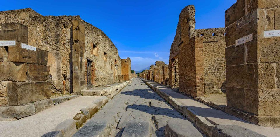 From Rome: Pompeii Day Trip by Fast Train and Car - Customer Reviews