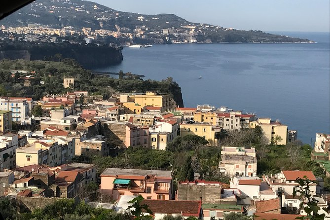 From Salerno: Amalfi Coast Full Day Tour Positano, Amalfi and Ravello - Customer Reviews