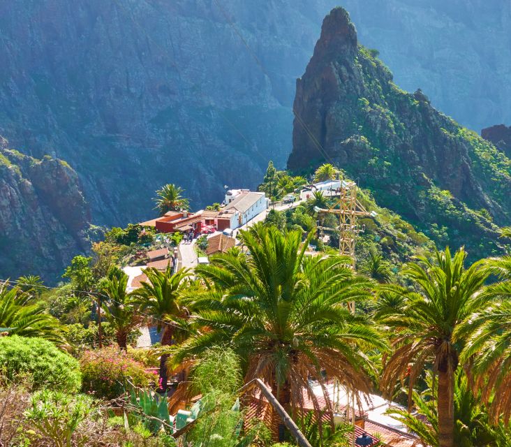 From Santa Cruz De Tenerife: Masca & Garachico Private Trip - Customer Testimonials