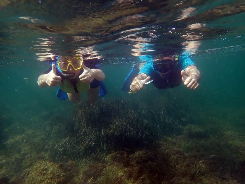 From Santa Pola: Snorkel Trip in Tabarca Island - Common questions