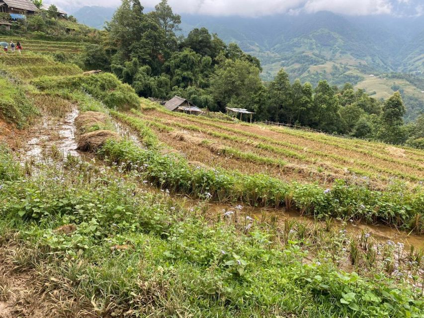 From Sapa : Full-Day Trekking With Lunch and Drop-Off - Important Participant Information