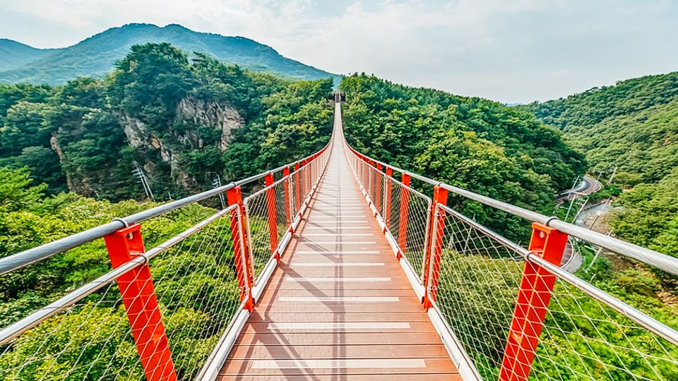 From Seoul: DMZ, 3rd Tunnel & Suspension Bridge Guided Tour - Meeting Point Information