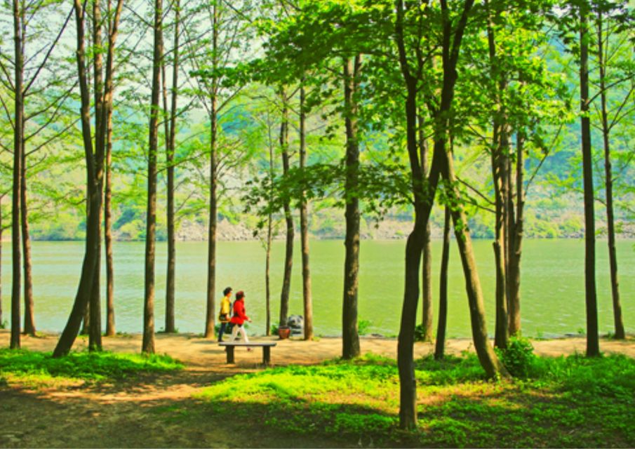 From Seoul: Nami Island, Korean Garden & Rail Bike Day Trip - Preparation Tips