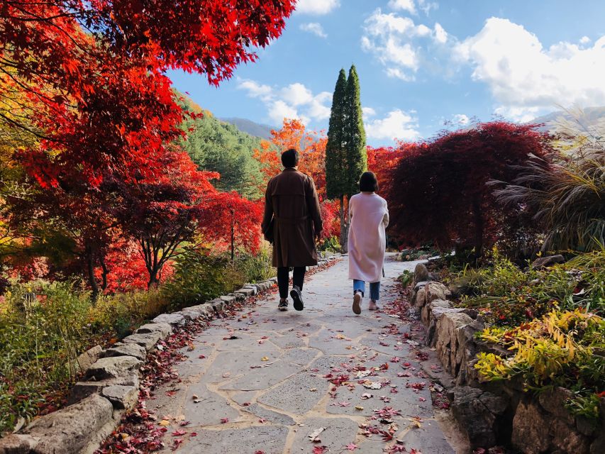 From Seoul: Seoraksan, Nami, and Garden of Morning Calm Tour - Customer Reviews and Ratings