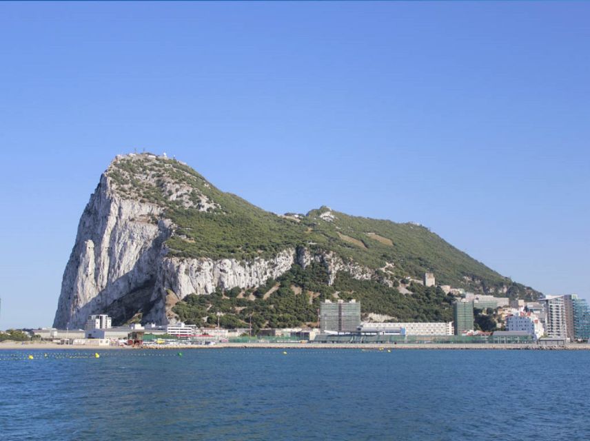 From Seville: Full-Day Trip to Gibraltar - Review Details