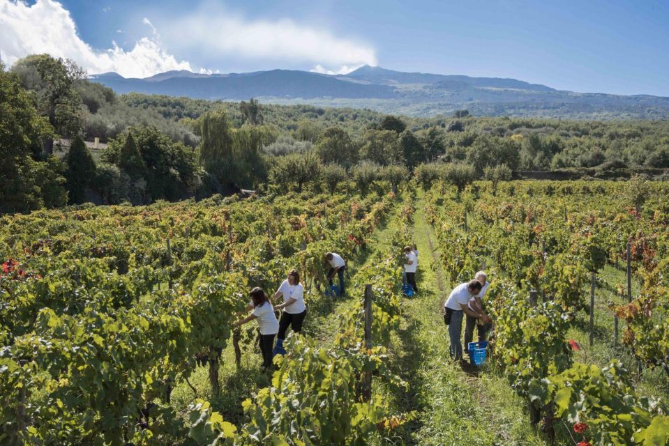 From Siracusa Day Tour To Etna Volcano, Winery and Taormina - Exclusions