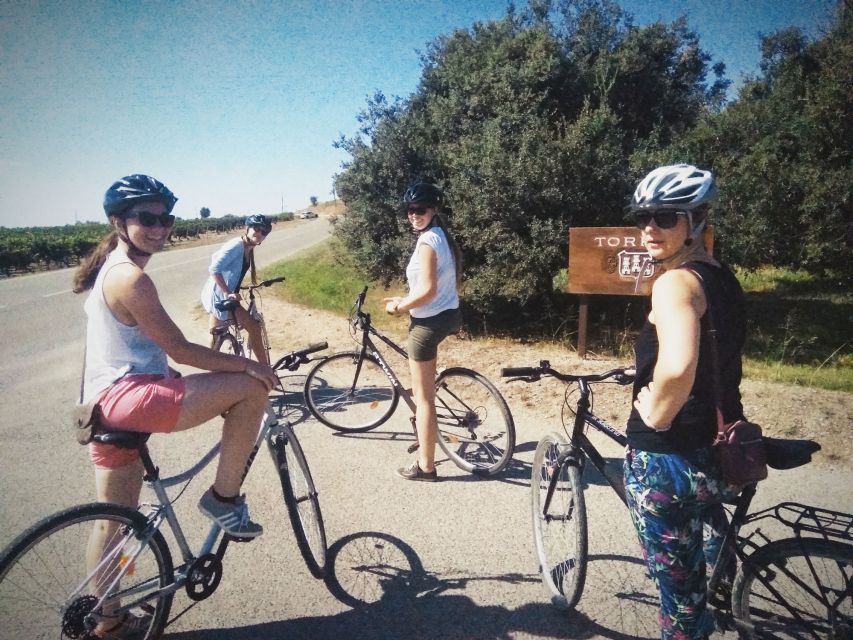 From Sitges: Cycling Tour With Winery Visit and Tasting - Additional Information