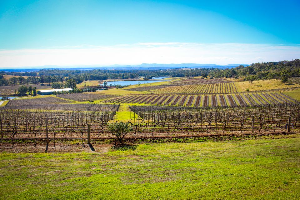 From Sydney: Hunter Valley Wine Tasting Private Day Tour - Common questions