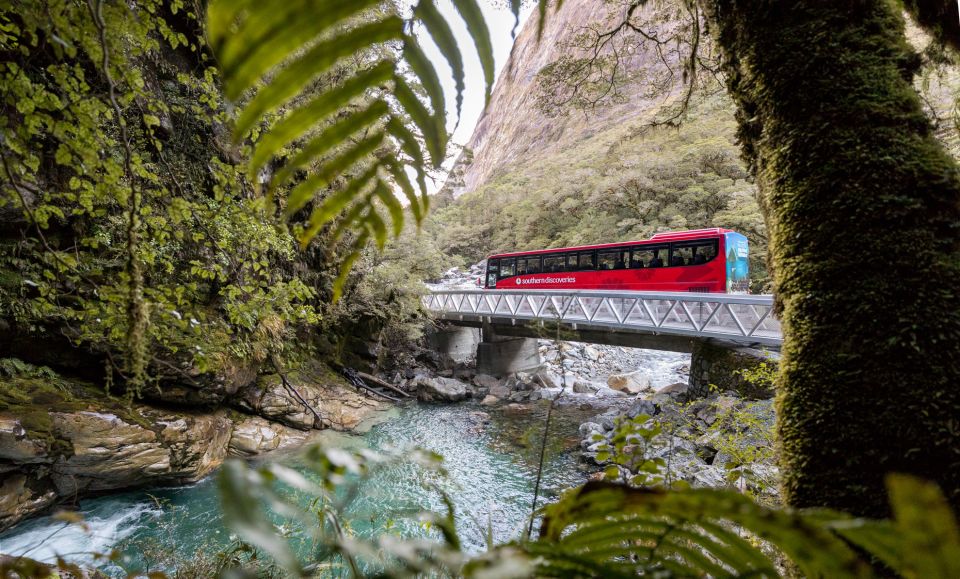 From Te Anau: 1-Day Milford Sound Coach & Cruise - Additional Information