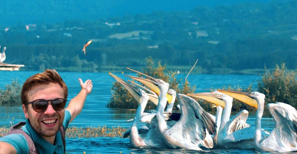 From Thessaloniki: Private Day Trip to Kerkini Lake - Important Information