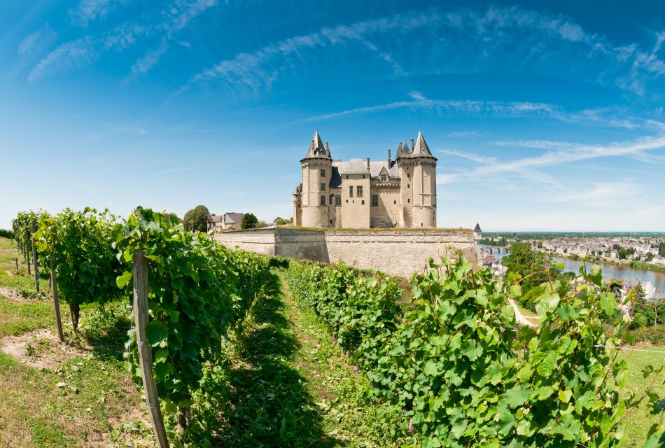 From Tours: Loire Valley Wineries Day Trip With Tastings - Additional Information