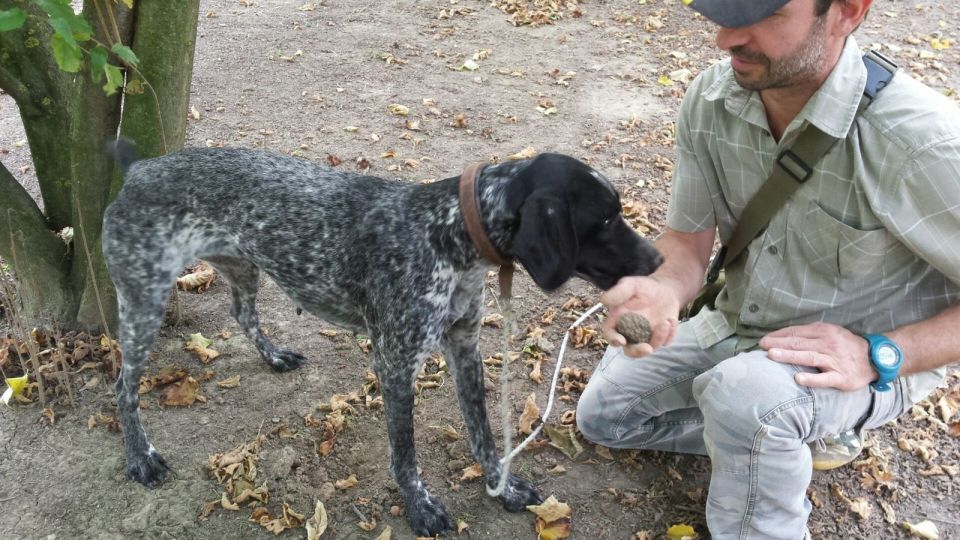 From Turin: Half-Day Truffle Hunting and Lunch in Piedmont - Village Visit