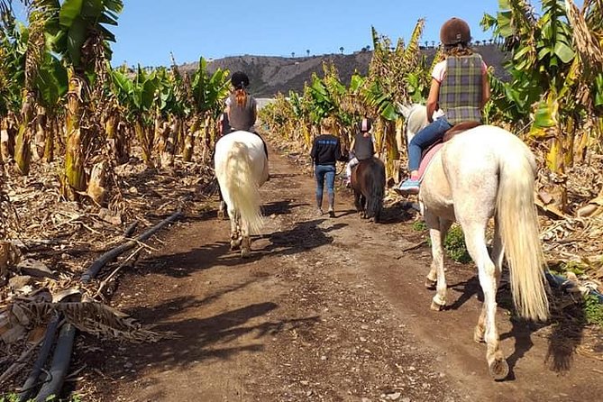 Fruit Farm Horse Riding - Common questions