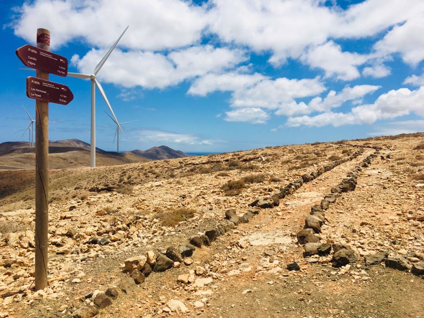 Fuerteventura: Guided Trekking Tour With Island Goats - Common questions