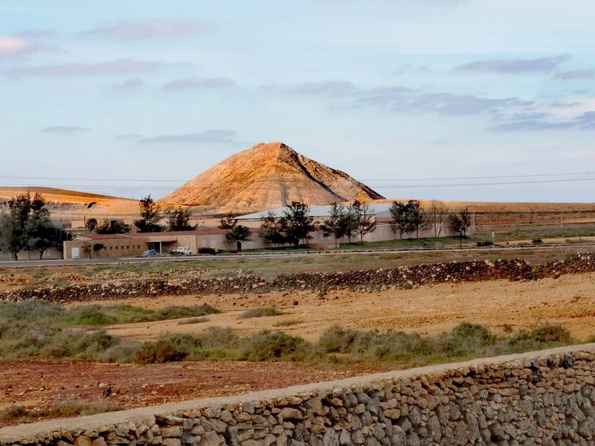 Fuerteventura: North of Fuerteventura for Cruise Passengers - Important Tips for Participants