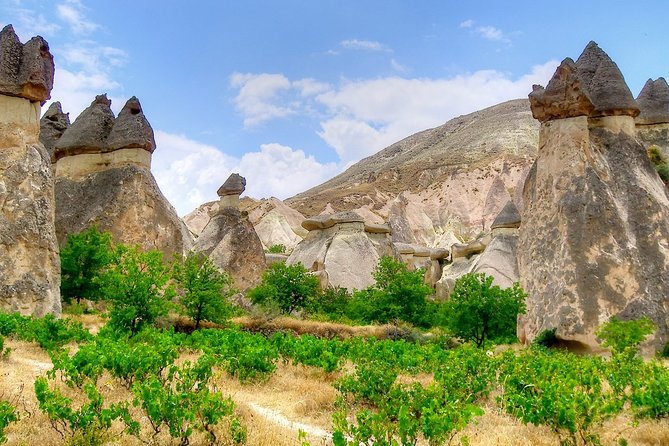 Full-Day Cappadocia Tour With ATV Quad Safari at Sunset Timing - Tour Capacity and Dietary Options