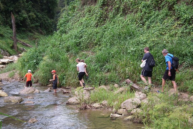 Full Day Khao Sok National Park Tour From Krabi With Bamboo Rafting & Lunch - Common questions