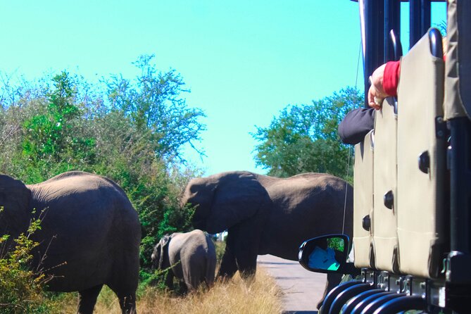 Full-Day Kruger Park Safari From Nelspruit, Whiteriver or Hazyview - Common questions