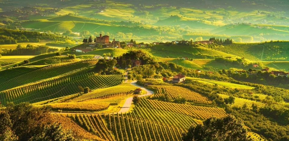 Full-Day Langhe Region Tour With Wine Tasting Experience - Last Words