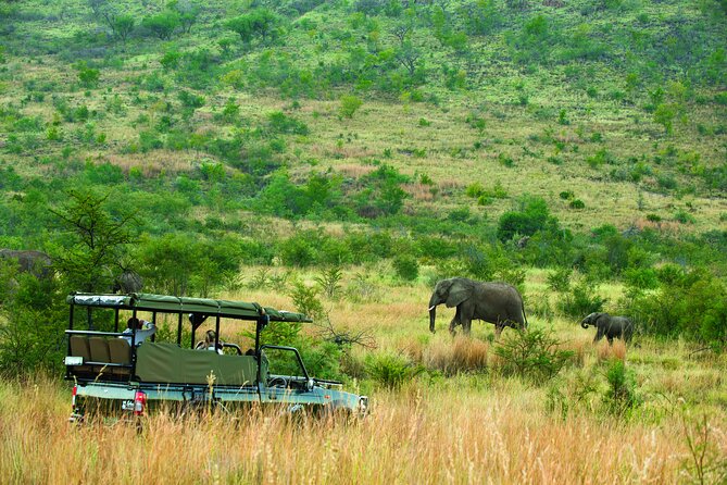 Full Day Pilanesberg Safari Adventure - Common questions