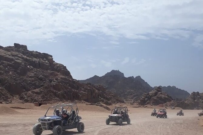 Full-Day Safari Adventure in Hurghada With Pick up and Dinner - Pricing Information and Inclusions