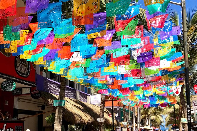 Full-Day Sayulita and San Pancho From Puerto Vallarta - Helpful Tips and Resources