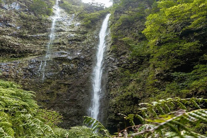 Full-Day Self Guided Hike in Caldeirão Verde Levada - Common questions