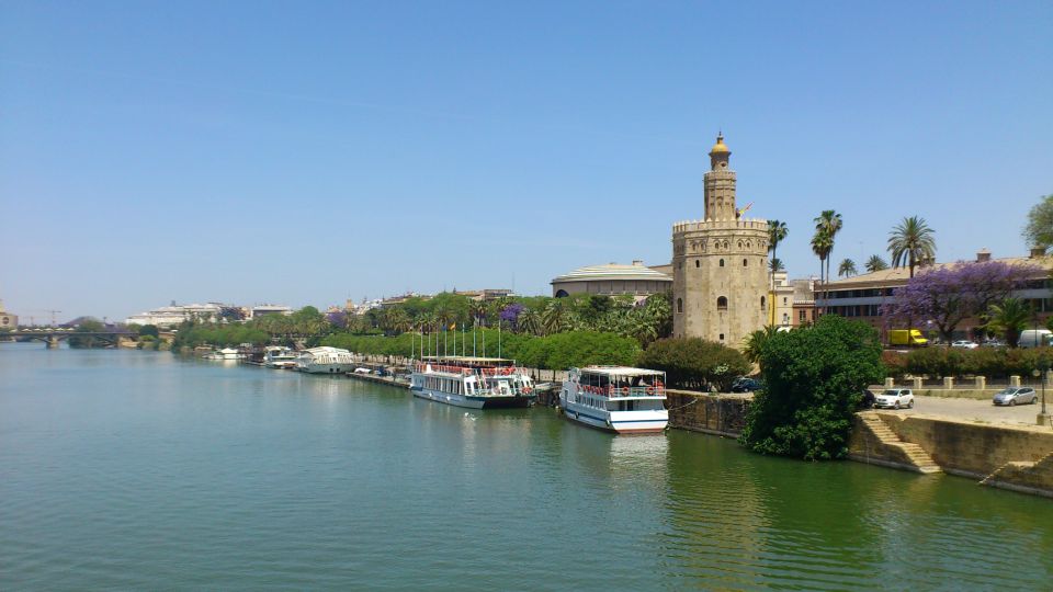 Full-Day Tour of Seville From Costa Del Sol - Reviews and Ratings Summary