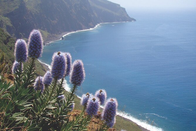 Full Day Tour of the West Zone of Madeira - Common questions