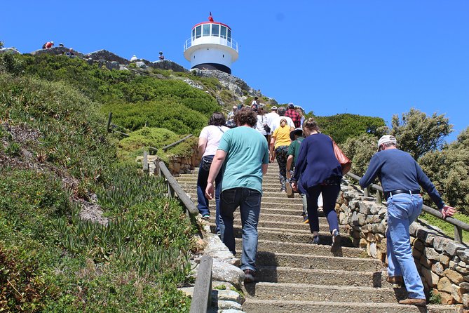 Full-Day Tour to Cape Point and Cape of Good Hope - Common questions