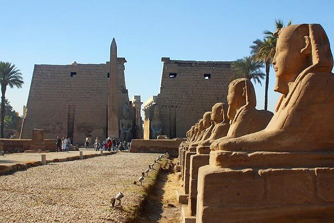 Full Day Tour to Luxor (East & West Bank) - Discovering Temple of Hatshepsut