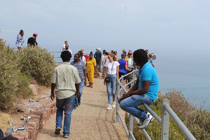 Full Day Visit to Cape Point Cape of Good Hope for Special Needs From Cape Town - Last Words