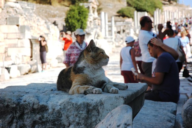 Full Ephesus With All Highlights Tour - Turkey Insiders Team - Common questions